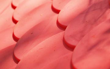 Milson plastic roof costs